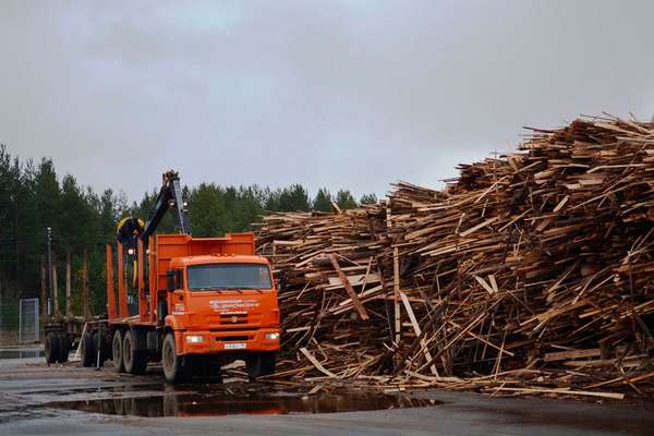 Зачем утилизировать древесные отходы