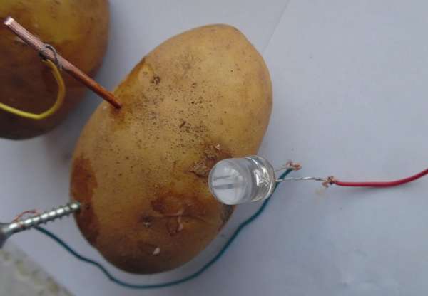 белый светодиод возле картошки