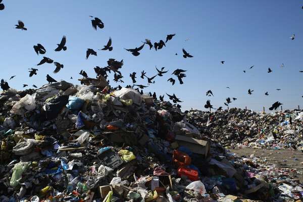 Переработка мусора в россии 2019 статистика