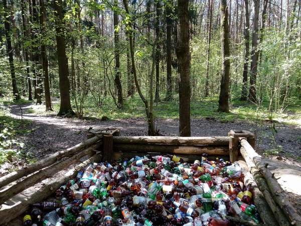 Пластик в лесу