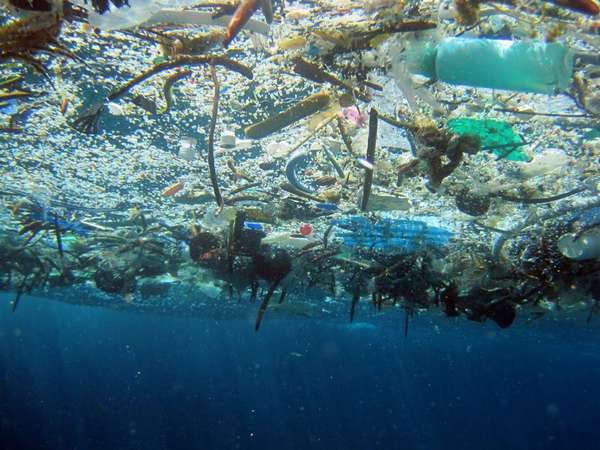 пластиковые отходы в мировом океане